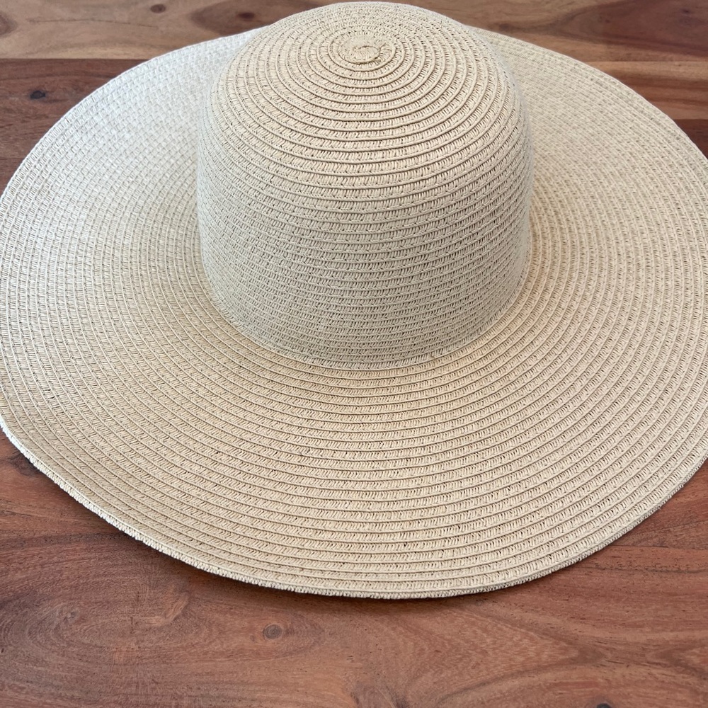 J Crew Wide Brim Straw Hat View 2